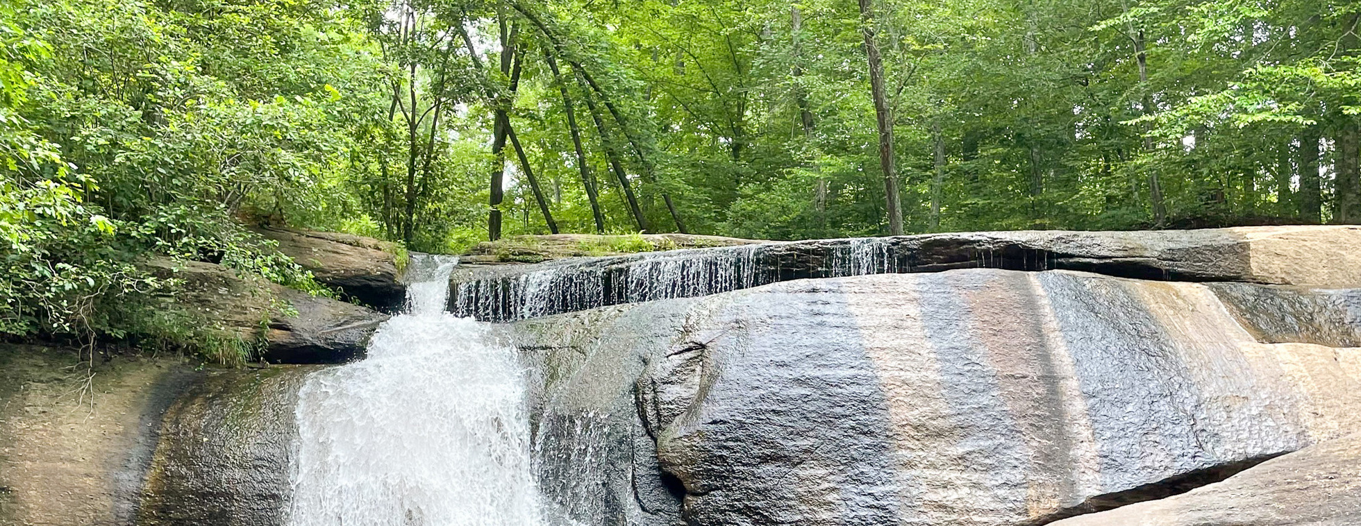 Slow Hikers Club at Fall Creek Falls in Mayo River State Park